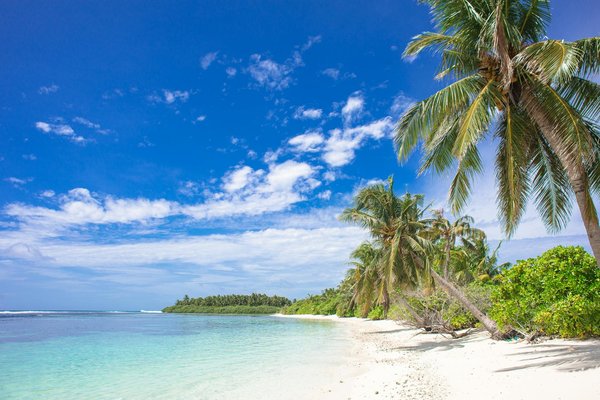 Location voiture nantes aéroport : voyagez selon vos besoins