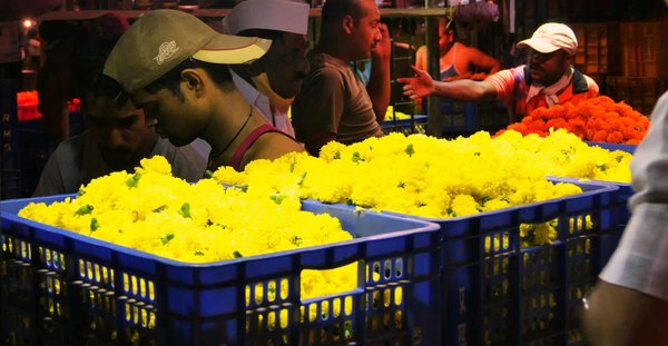 Comment organiser une visite des marchés de fleurs en Italie sans guide touristique ?